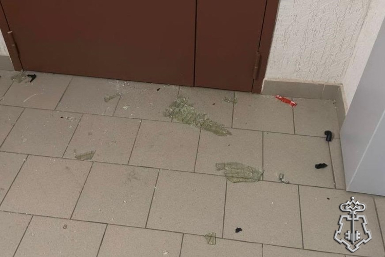 В городе Кудрово росгвардейцы задержали правонарушителя, топором повредившего дверь квартиры в жилом доме 