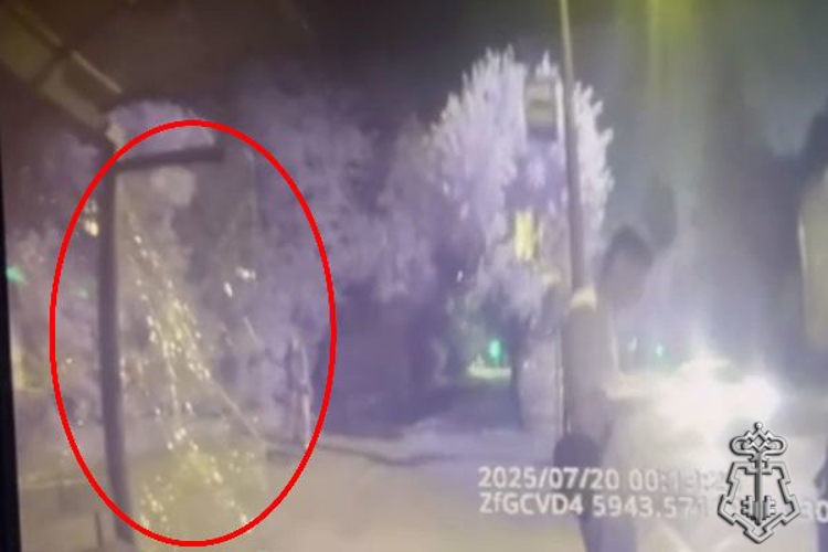 В Пушкине сотрудники Росгвардии задержали хулигана, повредившего остановку общественного транспорта