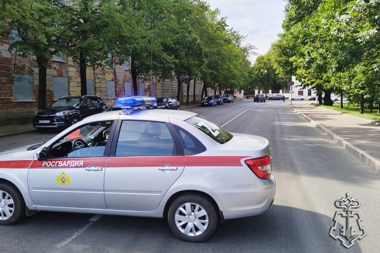 В Кронштадте сотрудники Росгвардии обследовали предмет, похожий на гранату, и обеспечили охрану места происшествия