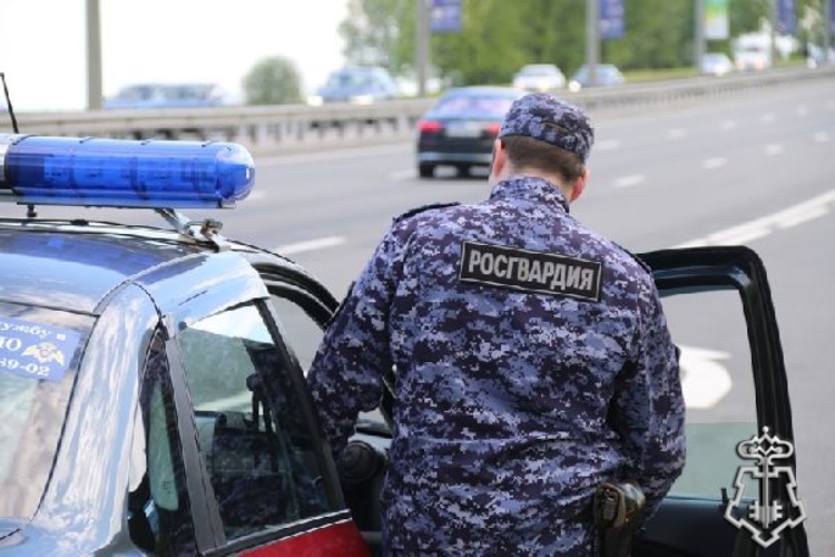 В городе Колпино сотрудники Росгвардии с поличным задержали рецидивистов, совершивших кражу из магазина