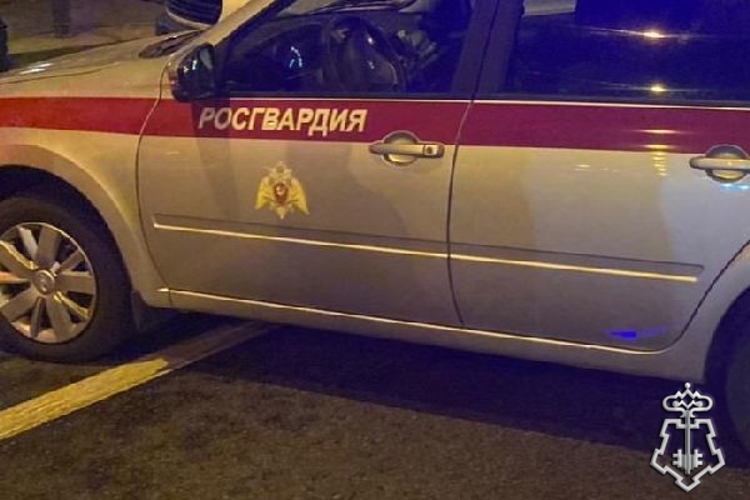 В Пушкине сотрудники Росгвардии задержали хулигана, повредившего остановку общественного транспорта