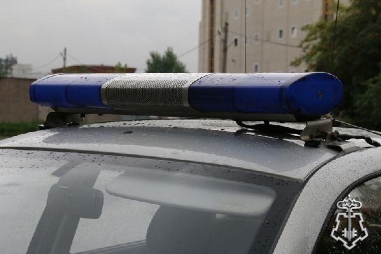 В Ленинградской области сотрудники Росгвардии и полиции задержали хулигана, повредившего припаркованную иномарку