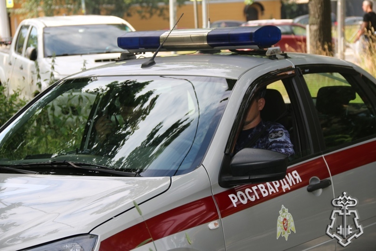 Петербургские росгвардейцы задержали вора-рецидивиста, похитившего велосипед в Красногвардейском районе