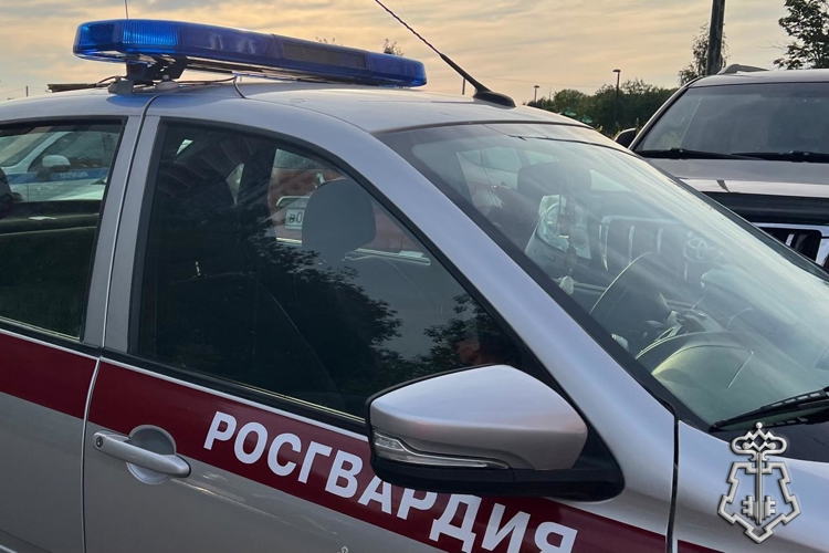В Калининском районе Петербурга наряд Росгвардии задержал работницу бара, похитившую у коллег банковские карты 