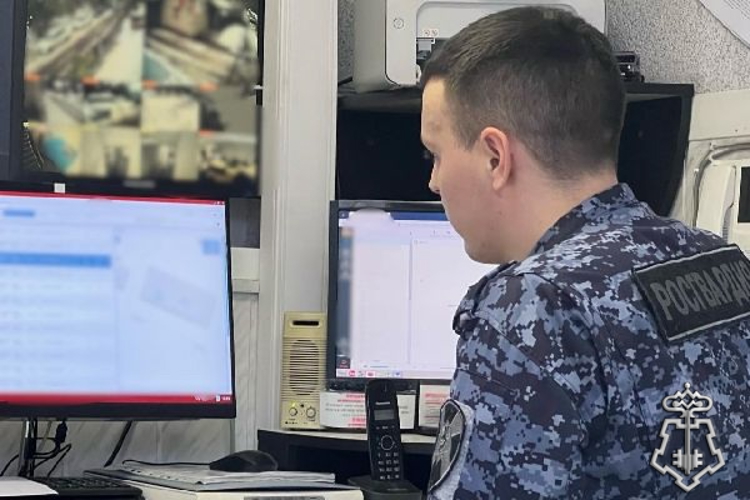 На Васильевском острове наряд Росгвардии задержал гражданина, нарушавшего общественный порядок на концертной площадке