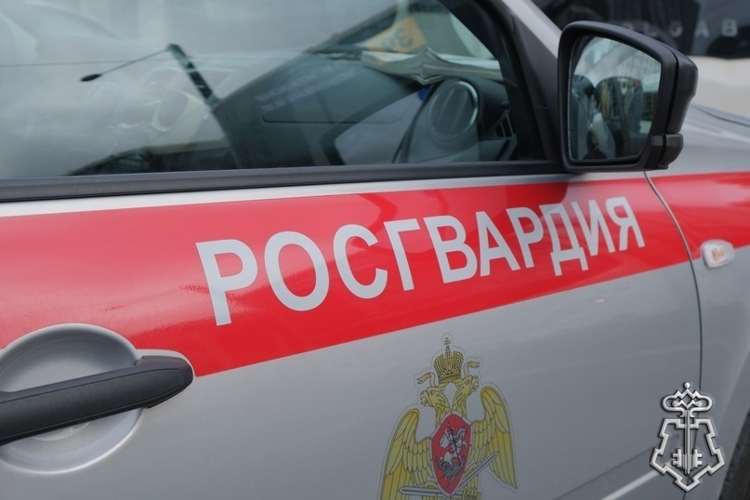 Наряд Росгвардии задержал правонарушителей, нанесших побои работнику магазина в Ленинградской области 