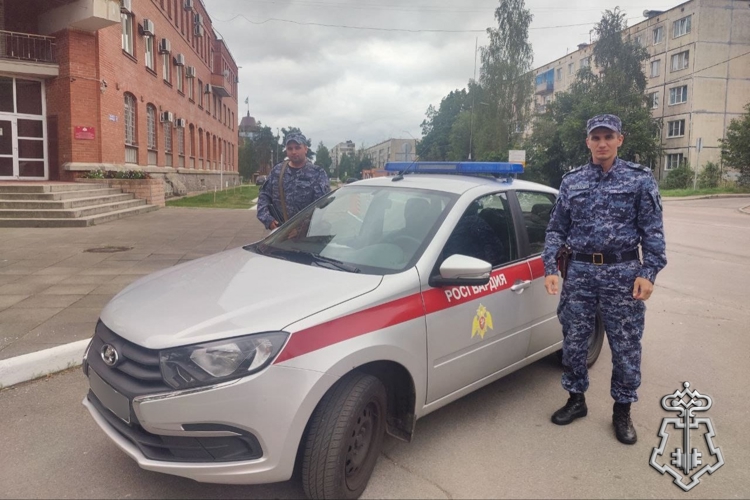 В Ленинградской области росгвардейцы задержали водителя, совершившего ДТП, в результате которого пострадала женщина