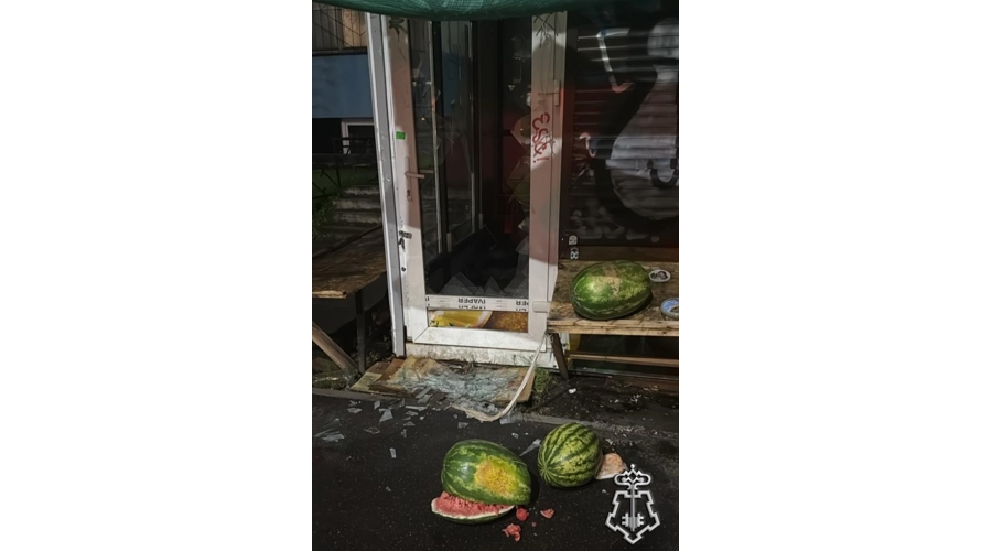В Красногвардейском районе Петербурга наряд вневедомственной охраны задержал хулиганов, устроивших погром в торговом павильоне