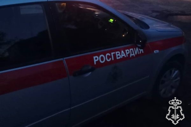 Петербургские росгвардейцы задержали правонарушителя, разбившего стекло и проникшего в салон автомобиля