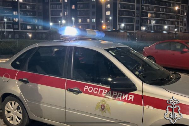 В Петербурге сотрудники Росгвардии задержали правонарушителя, нанесшего побои супруге и не пускавшего к ней медиков