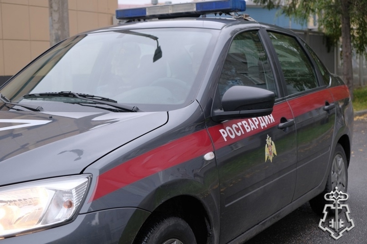 Петербургские росгвардейцы задержали хулигана, повредившего чужой автомобиль