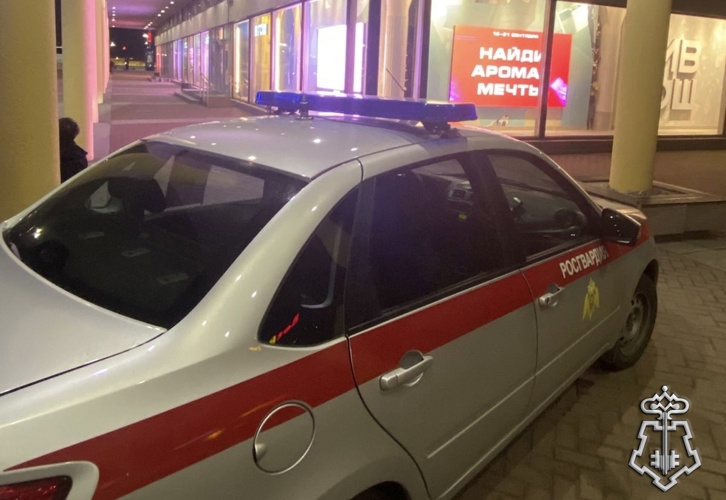 В Московском районе Петербурга наряд вневедомственной охраны задержал хулиганов, разбивших витрину магазина  