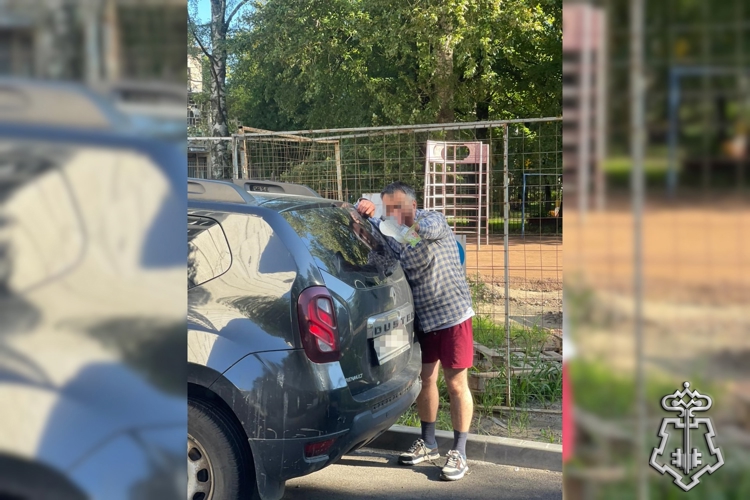 Петербургские росгвардейцы задержали правонарушителя, громившего автомобили тростью, отобранной у пенсионера