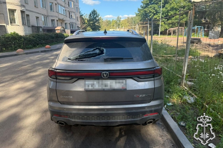 Петербургские росгвардейцы задержали правонарушителя, громившего автомобили тростью, отобранной у пенсионера
