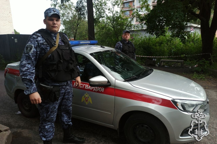 В Ленинградской области наряд Росгвардии задержал женщину, беспричинно угрожавшую ножом школьнику и его матери