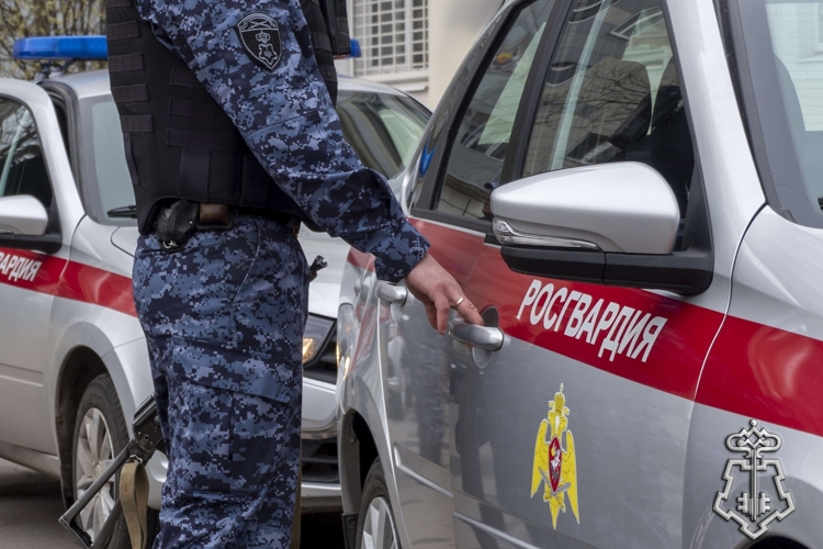 Петербургские росгвардейцы задержали хулиганов, от действий которых пострадала несовершеннолетняя девочка 