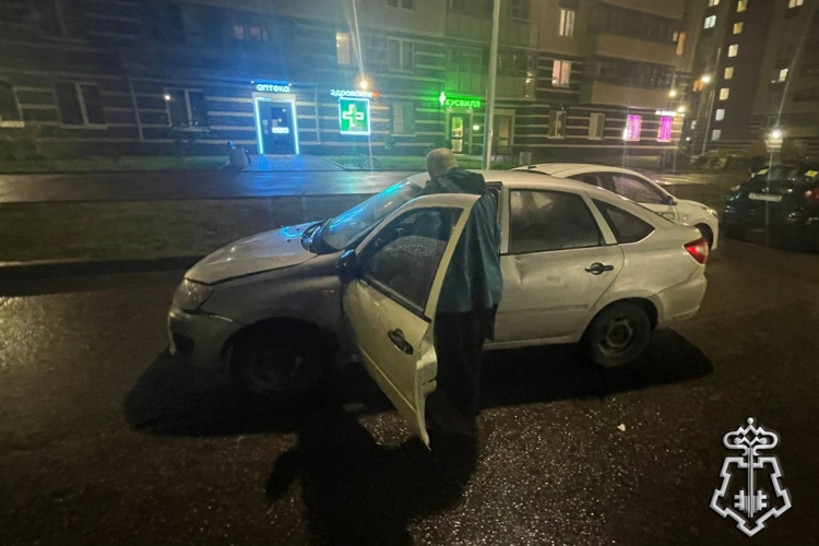В Курортном районе Петербурга сотрудники Росгвардии задержали нетрезвого водителя, скрывшегося с места ДТП