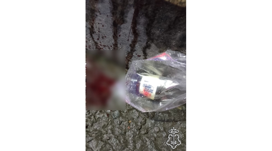 В Санкт-Петербурге росгвардейцы задержали участника драки, нанесшего оппоненту ранение в область шеи   