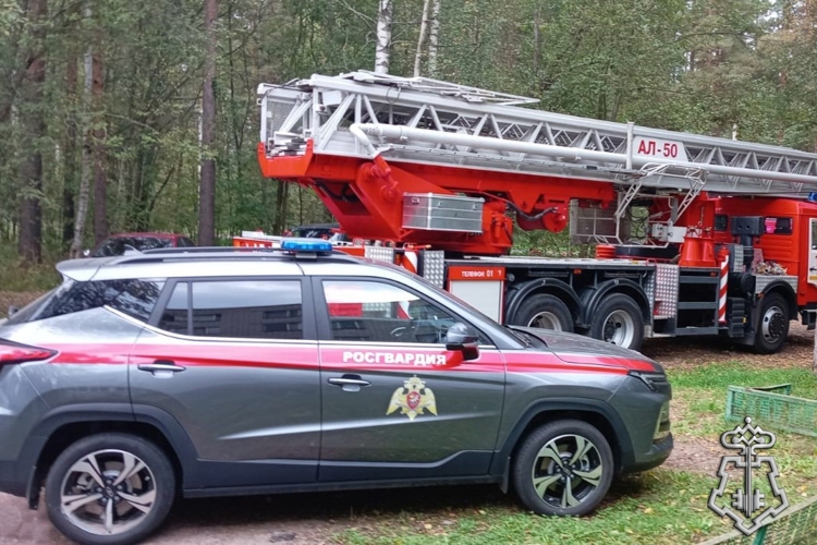 В Ленинградской области сотрудники Росгвардии и МЧС спасли жительницу Отрадного и ее собаку во время пожара в жилом доме 