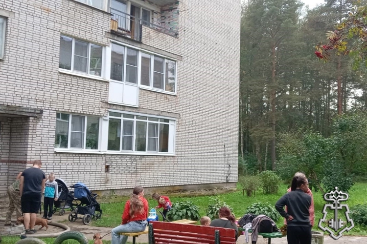 В Ленинградской области сотрудники Росгвардии и МЧС спасли жительницу Отрадного и ее собаку во время пожара в жилом доме