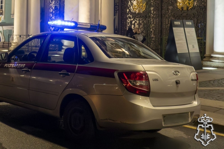 В Санкт-Петербурге сотрудники Росгвардии задержали хулигана, ночью пытавшегося проникнуть на территорию Эрмитажа 