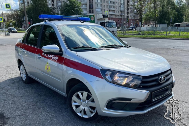 В Красногвардейском районе Петербурга сотрудники Росгвардии обнаружили объявленный в розыск автомобиль
