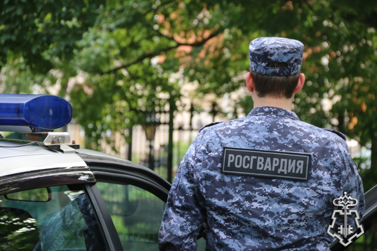 В Санкт-Петербурге наряд Росгвардии задержал грабителя, ночью напавшего на прохожего  