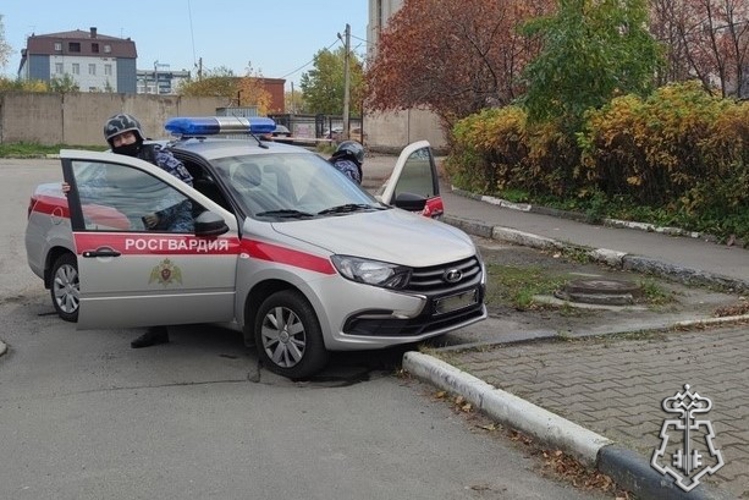 В Красногвардейском районе Петербурга сотрудники Росгвардии задержали правонарушителей, нанесших телесные повреждения таксисту 