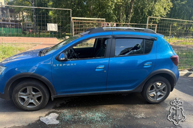 Петербургские росгвардейцы задержали правонарушителя, громившего автомобили тростью, отобранной у пенсионера