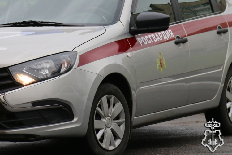 В Центральном районе Петербурга наряд Росгвардии задержал правонарушителей, которые угрожали ножом администратору бара