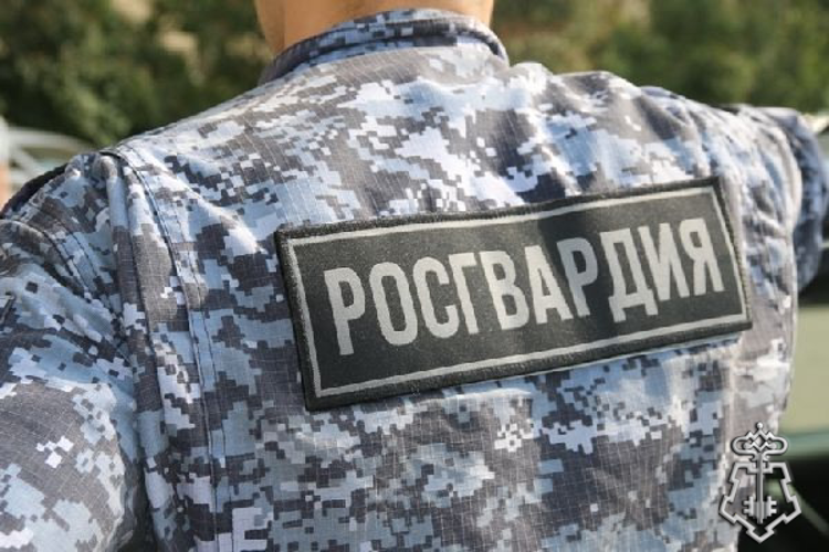В Ленинградской области росгвардейцы задержали злоумышленника, нанесшего телесные повреждения мужчине