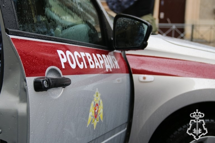 В Петербурге представители Росгвардии задержали хулигана, повредившего чужой автомобиль