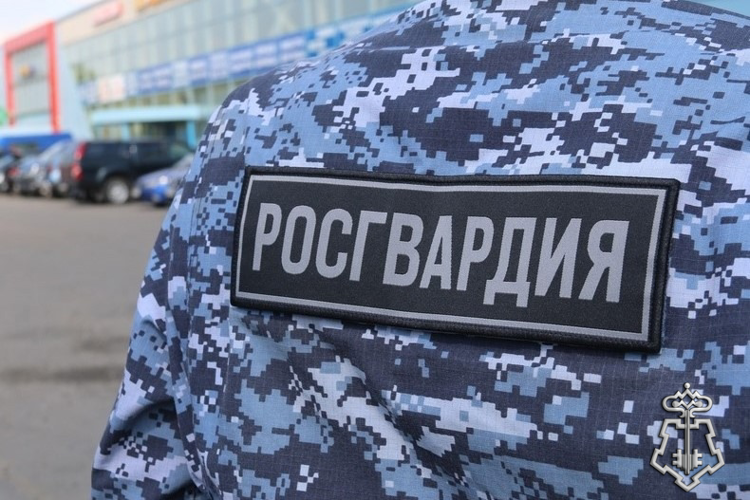 Петербургские росгвардейцы задержали гражданина, который из хулиганских побуждений повредил чужой автомобиль 