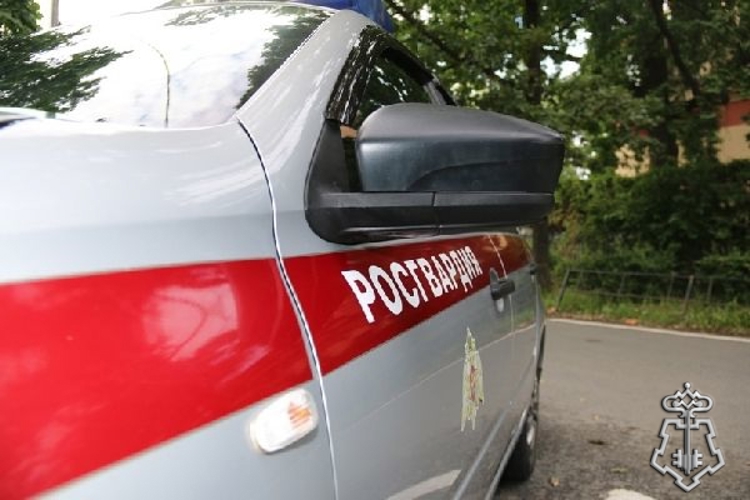 В Санкт-Петербурге сотрудники Росгвардии и полиции задержали мужчин, проникших в закрытый на ночь сетевой магазин