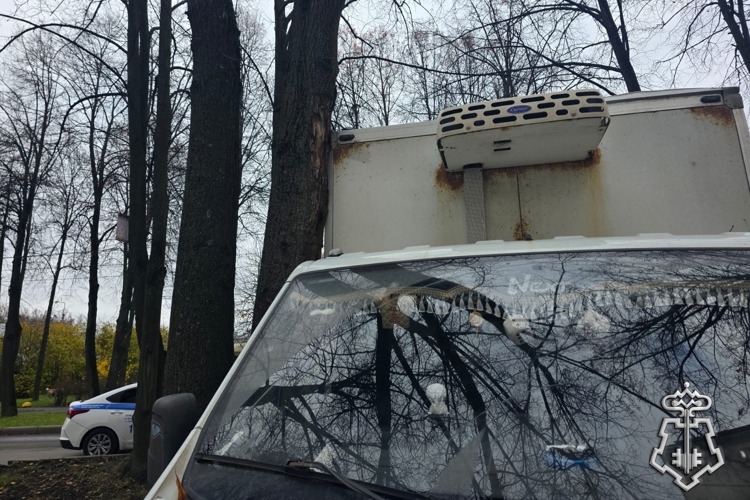 В Колпинском районе Санкт-Петербурга наряд Росгвардии задержал правонарушителя, врезавшегося в дерево на угнанном автомобиле
