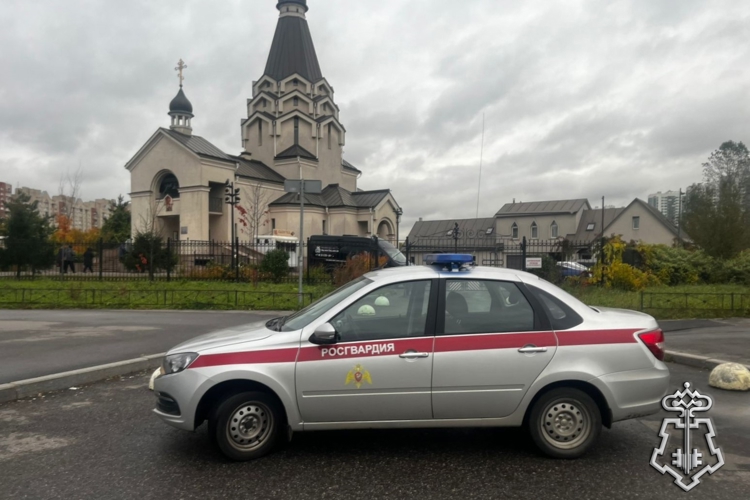 Петербургские росгвардейцы задержали дебошира, нанесшего серьезные травмы пенсионерке около церкви во Фрунзенском районе