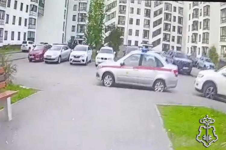 В Петергофе росгвардейцы задержали злоумышленника, нанесшего ножевое ранение мужчине в ходе конфликта в круглосуточном магазине