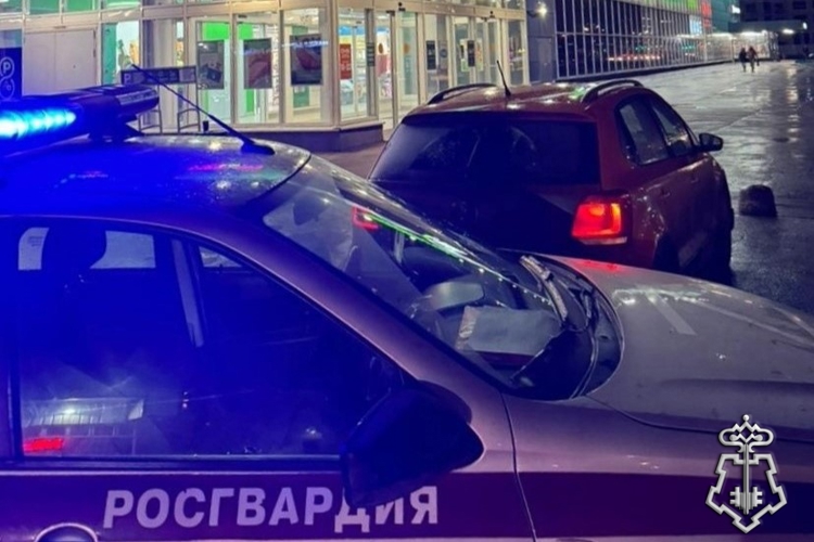 В Санкт-Петербурге наряд Росгвардии задержал вооруженного ножом рецидивиста, угрожавшего контролеру торгового зала магазина