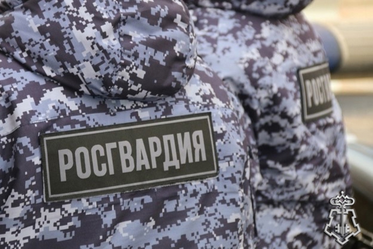 В Санкт-Петербурге росгвардейцы задержали нетрезвую гражданку, кирпичом повредившую автомобиль бывшего сожителя