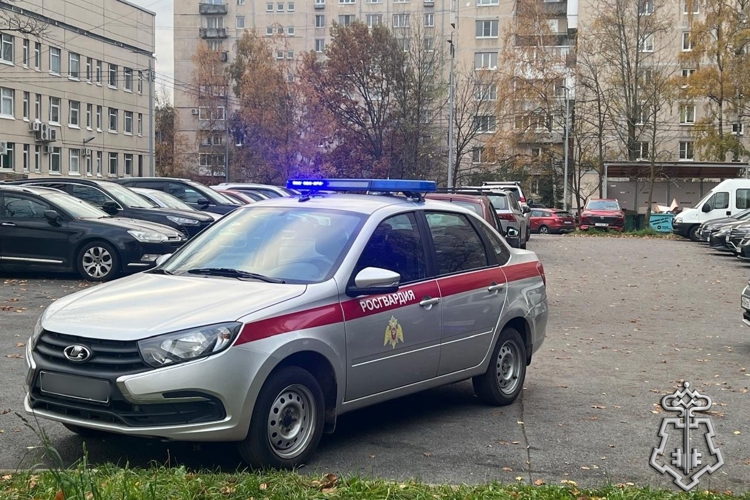 Петербургские росгвардейцы задержали вора-рецидивиста, похитившего кошелек из припаркованного автомобиля доставщика маркетплейса