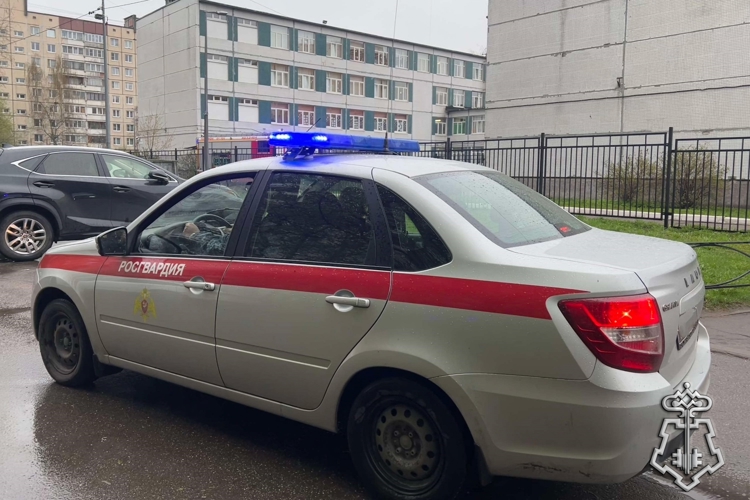 В Санкт-Петербурге наряд Росгвардии задержал подозреваемого в применении физического насилия в отношении двух школьников 