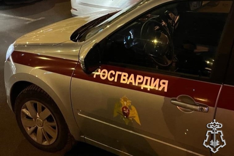 В Петербурге сотрудники Росгвардии задержали дебошира, повредившего имущество магазина и устроившего драку с персоналом