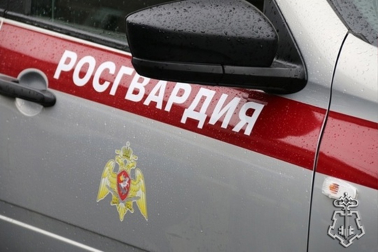 Сотрудники Росгвардии на территории Эрмитажа задержали курьера, пытавшегося скрыться от наряда ДПС