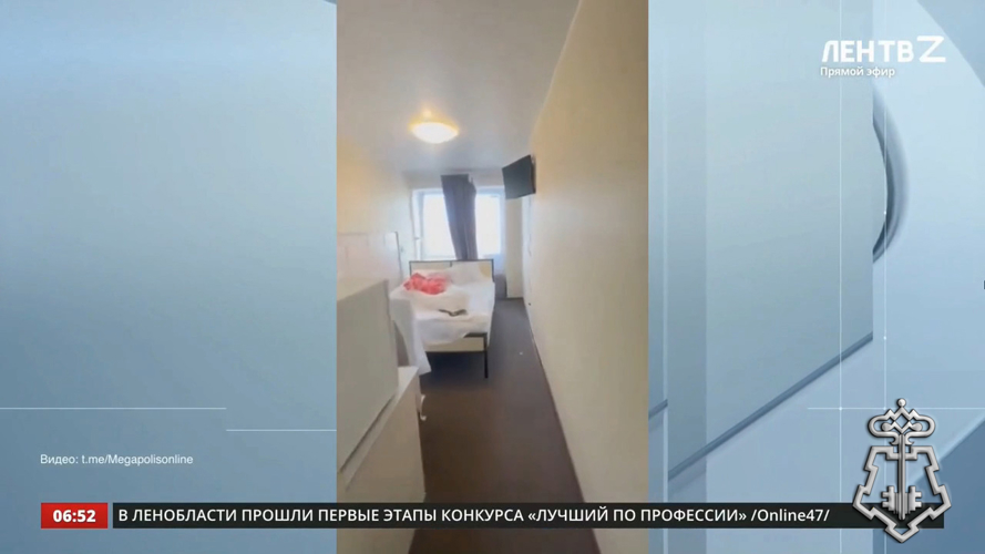 Сюжет программы «Новое утро» (телеканал «ЛенТВ 24») от 22 октября 2025 года 
