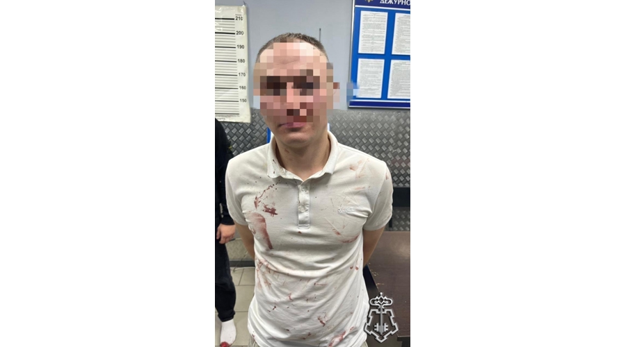 В Центральном районе Санкт-Петербурга наряд Росгвардии задержал нетрезвых дебоширов, повредивших имущество отеля