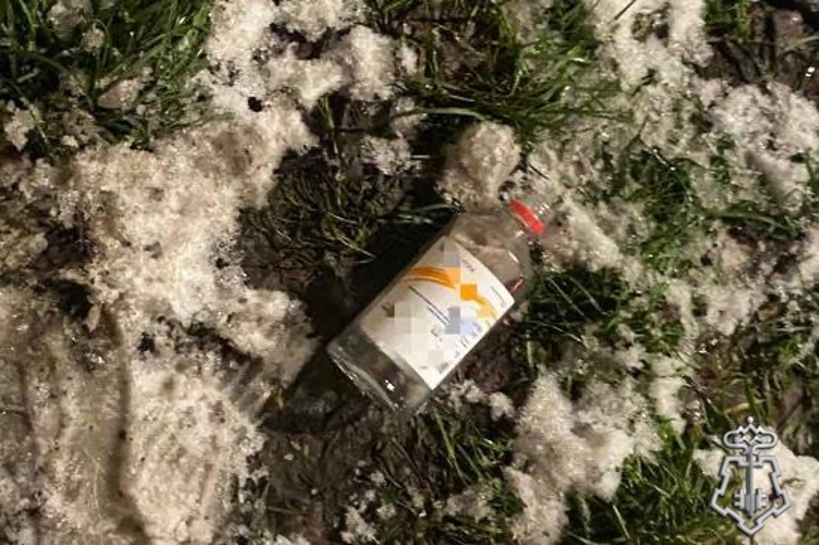 В Петербурге сотрудники Росгвардии и полиции задержали правонарушителя, бросавшего бутылки с горючей жидкостью из окна своей квартиры 