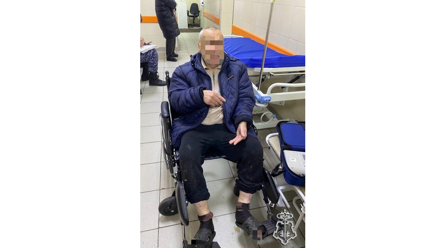 В Ленобласти наряд Росгвардии спас жителя Выборга, рисковавшего замерзнуть ночью в лесополосе неподалеку от Выборгского замка