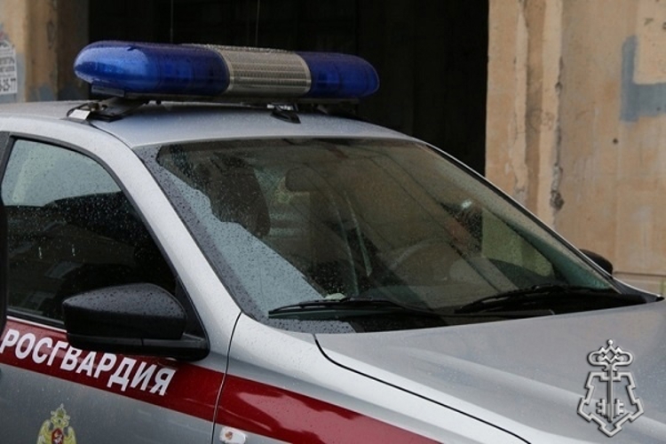 В петербургской больнице наряд Росгвардии задержал правонарушителя, нанесшего травмы медицинскому работнику (ВИДЕО)
