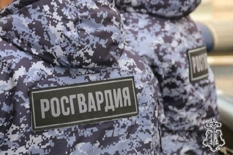 Петербургские росгвардейцы задержали правонарушителя, совершившего грабеж в сувенирном магазине частного музея