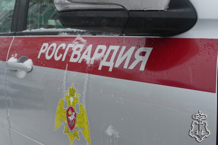 В Санкт-Петербурге росгвардейцы задержали хулигана, угрожавшего убийством подростку